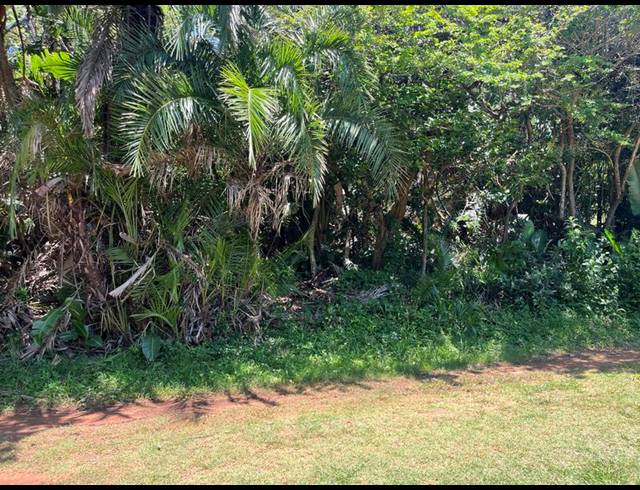 LAND FOR SALE IN PALM BEACH
